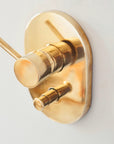 Unlacquered Brass Shower Set, Santorini Style