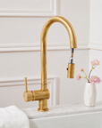 Brewster Pull Down Faucet - Unlacquered Brass