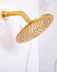 Berkeley Unlacquered Brass Shower System with Pressure Balanced Valve