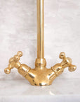 Unlacquered Brass Single Hole Faucet