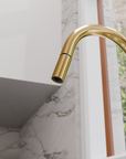 Unlacquered Brass Pull Down Kitchen Faucet