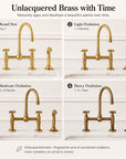 Unlacquered Brass Dublin Bridge Faucet