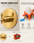 The Brasslik Single Function Shower - Unlacquered Brass