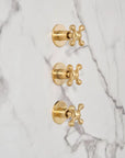 Eden wall-mounted unlacquered brass shower set