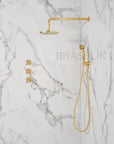 Eden brass shower fixtures with valve