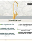 Unlacquered Brass Bridge Kitchen Faucet with Side Sprayer and Drinking Water Tap