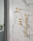 Eden Unlacquered Brass Shower Set With Valve