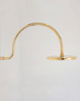 Unlacquered brass shower, high pressure curved arm