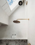 Antique Brass Shower with Single Handle