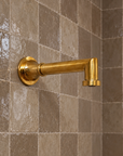 Shawnee Shower Combo with Handheld and Tub Spout – Unlacquered Brass