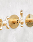 Classic Brass Shower Head and Handheld Assembly