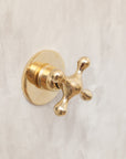 Antique Brass Shower with Single Handle