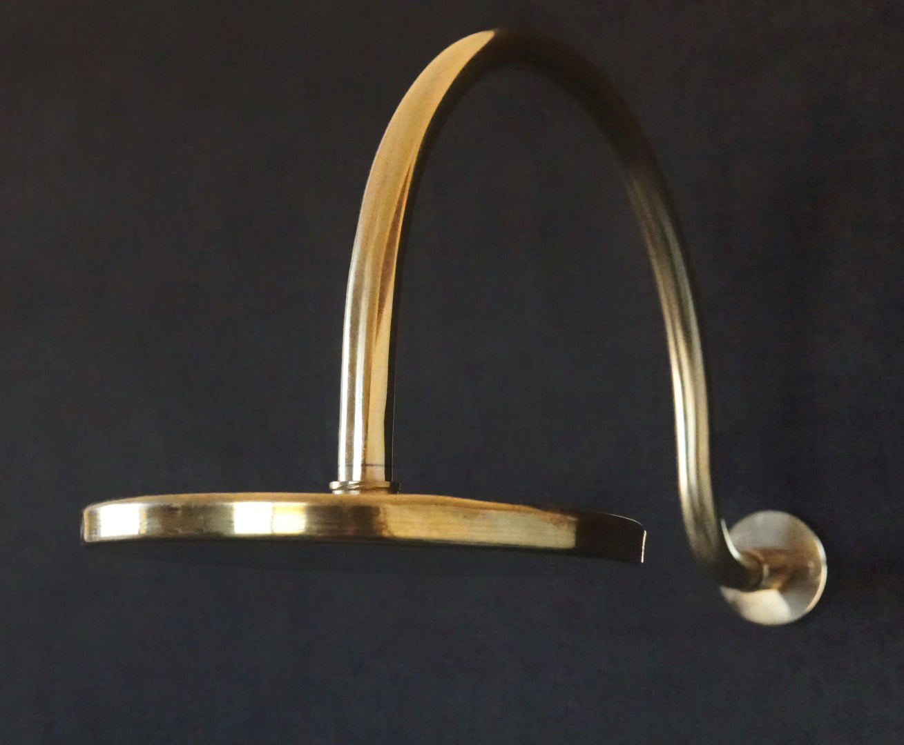 Unlacquered Brass Shower With Curved Arm