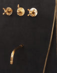 Maui Brass Rainfall Shower - Unlacquered Brass Shower Set