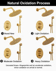 Berkeley Unlacquered Brass Shower System with Pressure Balanced Valve