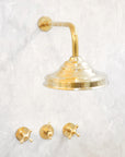 Classic Brass Shower Head and Handheld Assembly