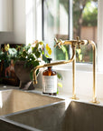 Elephant Trunk Spout Brass Kitchen Faucet