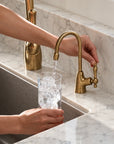 Unlacquered Brass RO & Filtered Water Faucet