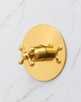 The Brasslik Single Function Shower - Unlacquered Brass
