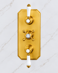 Nebraska Thermostatic Valve Shower Set - Unlacquered Brass