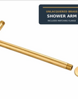 Unlacquered brass shower arm with matching flange