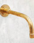 Classic Brass Shower Head and Handheld Assembly