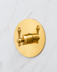 The Brasslik Single Function Shower - Unlacquered Brass