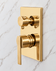 Katy Shower Set - Unlacquered Brass