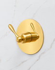 The Brasslik Single Function Shower - Unlacquered Brass