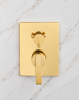 Katy Shower Set - Unlacquered Brass