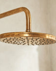 Oasis shower set, unlacquered brass