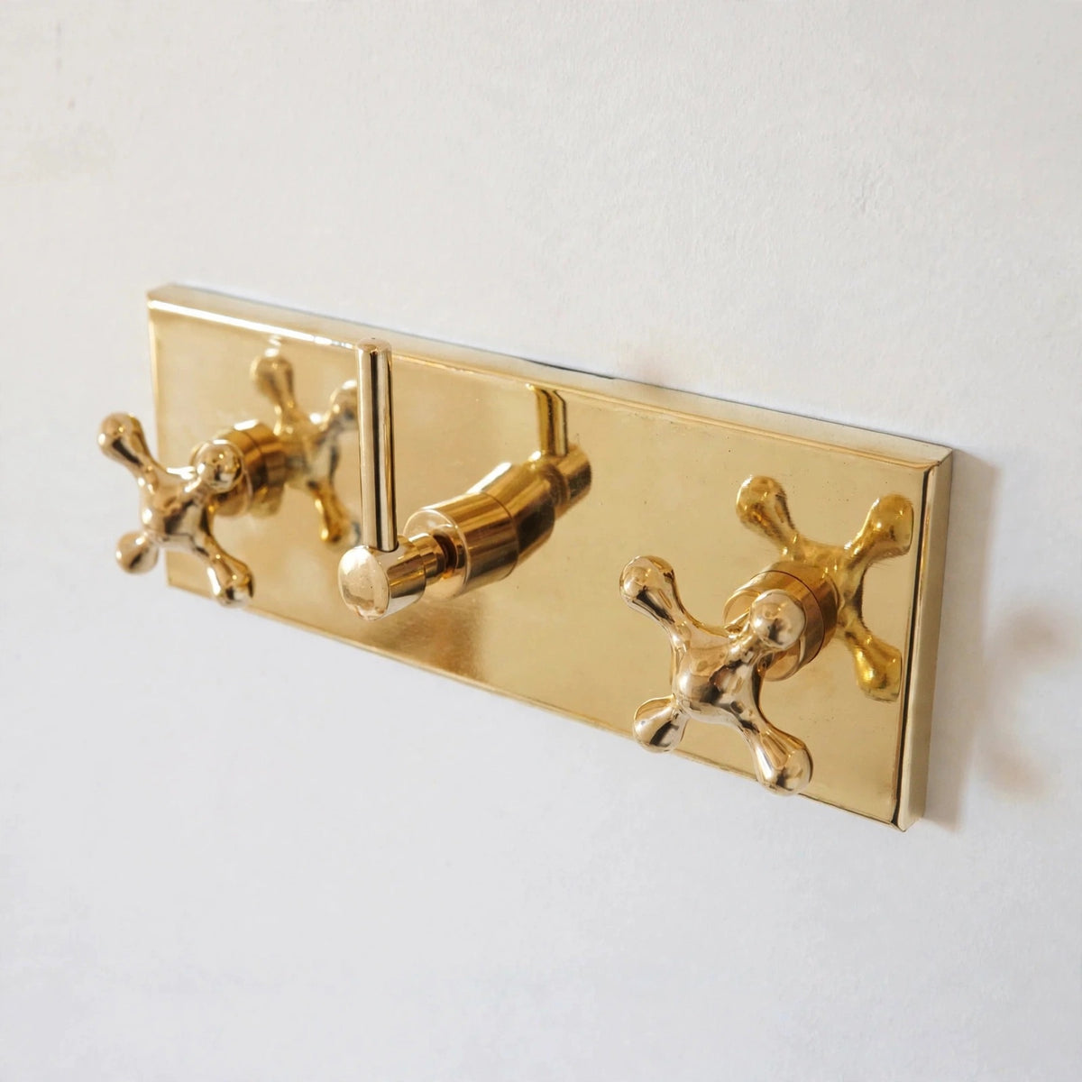 Oasis Shower Set - Unlacquered Brass