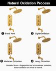 Thermostatic Two Way Shower Valve – Unlacquered Brass