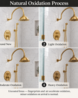 The Charleston Curved Shower