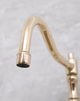 Brighton unlacquered brass bridge faucet with optional side sprayer