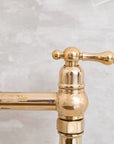 Brighton brass bridge faucet, only faucet or with sprayer