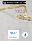 Handcrafted Colorado unlacquered brass shower system