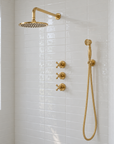 Eden unlacquered brass shower set with valve