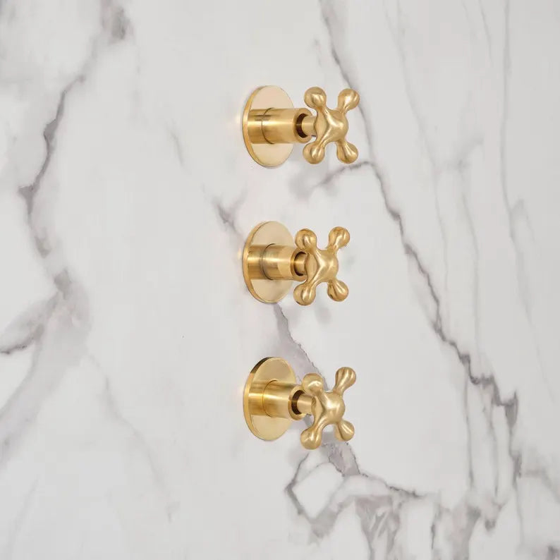 Eden wall-mounted unlacquered brass shower set