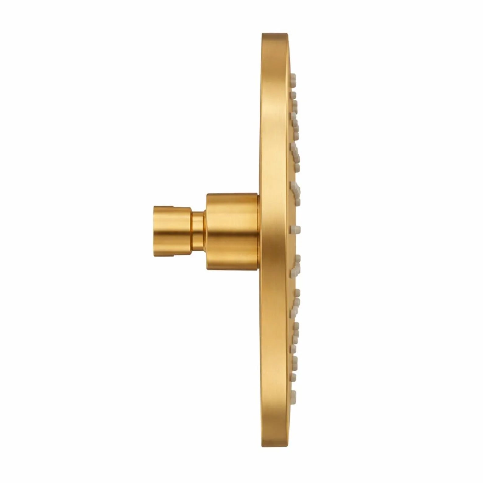 Unlacquered Solid Brass Rain Shower