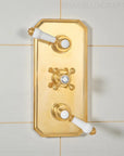 Brasslik Thermostatic Shower System