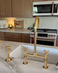 King Size unlacquered brass kitchen faucet detail