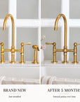 Newcastle brass bridge faucet with sprayer, with or without cold tap