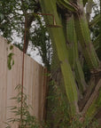 Outdoor Solid Copper Shower - Malibu