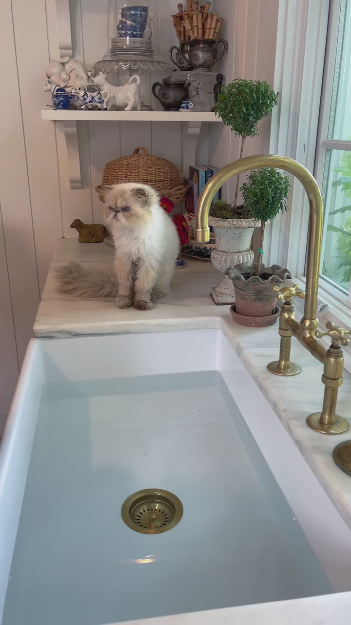 Video of the unlacquered brass bridge kitchen faucet
