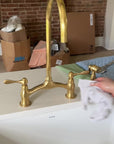 Victorian Unlacquered Brass Bridge Faucet with Sprayer & Drinking Tap
