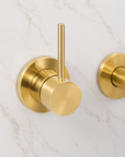 Brasslik Roswell wall mount tap in solid brass