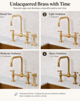 Seven brass bridge faucet, traditional kitchen design
