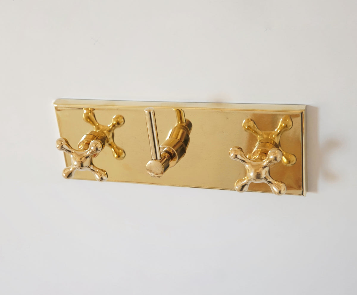 Brasslik Oasis unlacquered brass shower fixtures