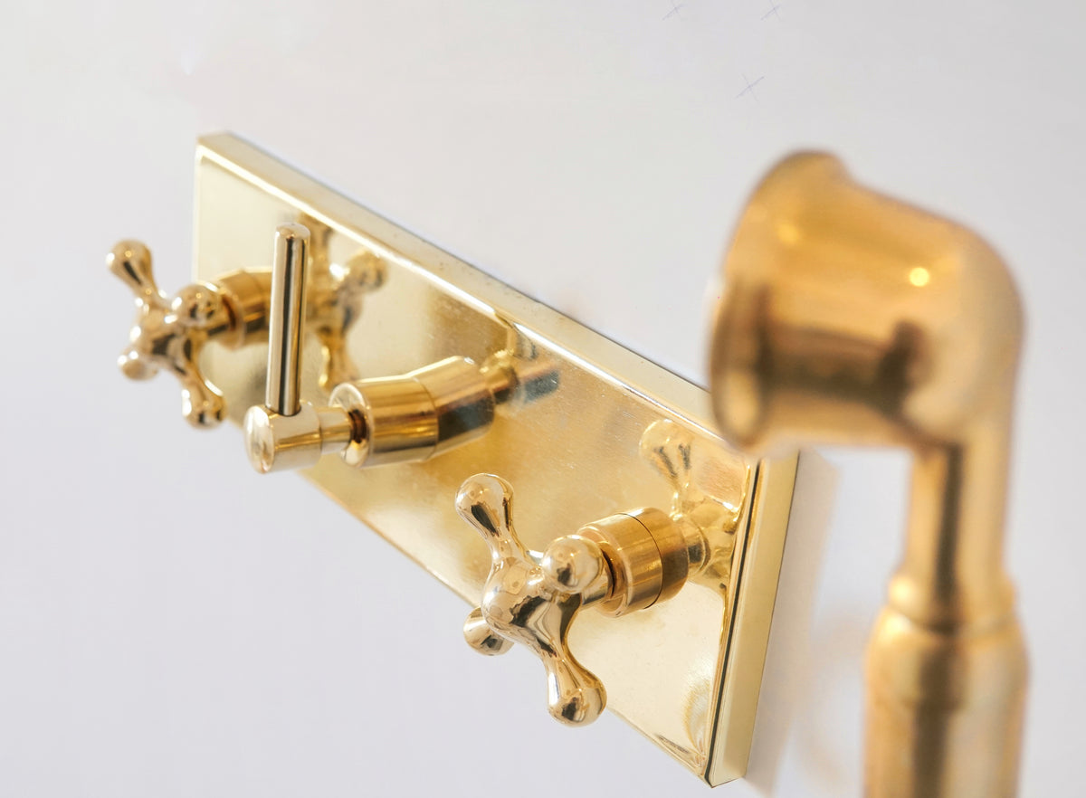 Wall-mounted Oasis brass rainfall and handheld shower